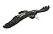 Safari Ltd Wings of the World California Condor Realistic Hand-Painted Toy Figurine Model For Ages 3 And Up – Large