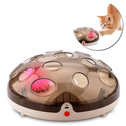 Interactive Cat Toys