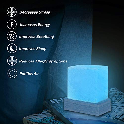 V.C.Formark Himalayan Salt Lamp, Crystal Rock Salt lamp with Wooden