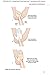 Arterial Blood Gases Made Easy: With STUDENT CONSULT Online Access