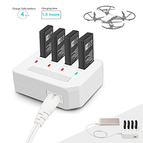 Voceavalcii Canada Goose In Vancouver Battery Charging Tello