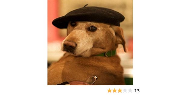 dog beret amazon