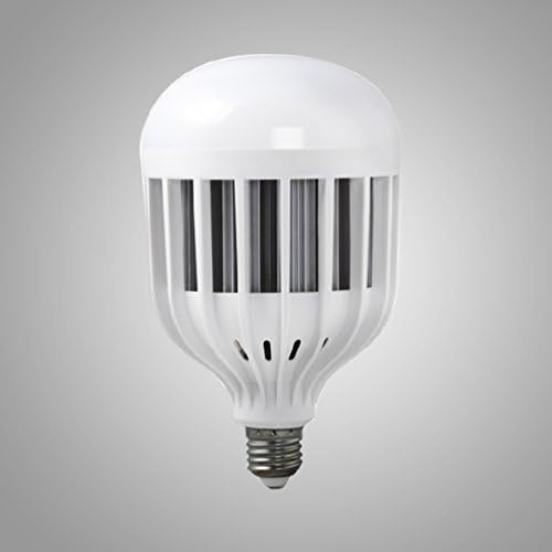 YJY Emergency LED Light Bulb with Build-in Rechargeable Battery for Hurricane Power Outage, Lampholder Hook for Camping Flashlight, 18W(100W Equivalent) 6000K E27 E26 110V 120V 220V - 1 Pack