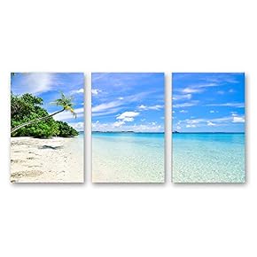 SIGNFORD 3 Piece Canvas Wall Art for Living...