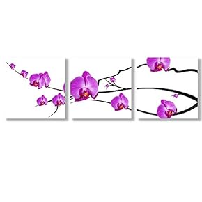Canvas Wall Art Beautiful Flowers Collections Picked Painting Artwork for Home Prints Framed - 12"x12"x3 Panels