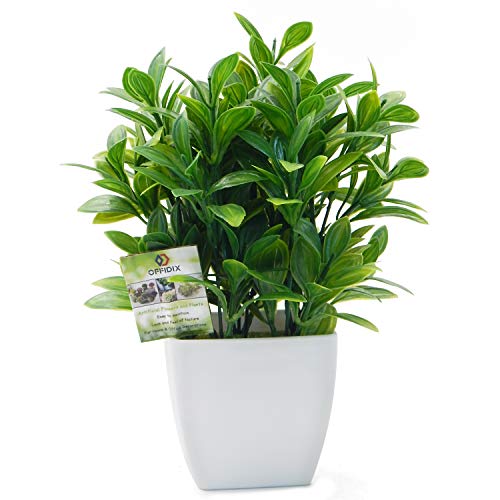 OFFIDIX Artificial Eucalyptus Plants with White Square Vase Small Artificial Tree for Office Desktop Decor Fake Plants for Home and Office Indoor Decorations - Thumbnail 7