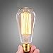 Aplstar New Edison Vintage Bulbs - 6 Pack Bulbs - 60W Incandescent - Clear Glass - ST64 Squirrel Cage - Dimmable