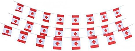 ã»ã¼ã« 2 30å 10ã¡ã¼ãã« 3ç¨® å½æ ãã©ã° ã¬ã¼ã©ã³ã ããªã¸ã­ããã¼ è±è¼ª ã«ãã å°å³ å½æ ãã