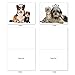 M6596TYG Copy Cats: 10 Assorted Thank You Note Cards Featuring Cats and Dogs That Have Similar Markings Wearing Crowns, w/White Envelopes.
