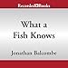 What a Fish Knows: The Inner Lives of Our Underwater Cousins
