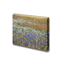 Wheatfield with Corn Flowers and Daisies Wall Decor