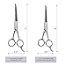 Wellbro Stainless Steel Dog Grooming Scissor Kit, Set of 2 Professional Pet Trimming Shears with Round Tips, Includes 1 Serrated Blade Scissor and 1 Regular Scissor, Suitable for Dogs, Cats and Pets