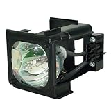 Generic BP96-01795A Replacement Lamp with Housing for Samsung TVs