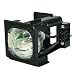 Generic BP96-01795A Replacement Lamp with Housing for Samsung TVs primary