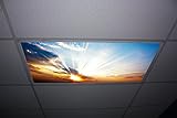 Sunset Skypanels - Replacement Fluorescent Light Diffuser