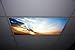 Sunset Skypanels - Replacement Fluorescent Light Diffuser