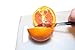 TRITANWARE Portable Stainless Steel Sporks Set With Spork Case- 5 Extremely Strong Food Grade Stainless Steel Sporks, Bottle Opener/ Carabiner Included