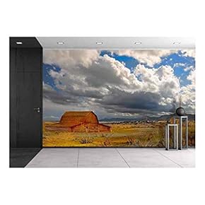 Beautiful Image of a Passing Storm in New Mexico - Removable Wall Mural | Self-Adhesive Large Wallpaper - 66x96 inches