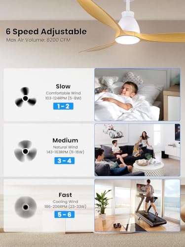 Newday Wooden Ceiling Fan with 3 Blades, 132 cm Ceiling Fan with Light and Silent Remote Control, Reversible DC Motor, Dimmable LED, Sleep Mode, Timer for Living Room