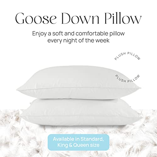 East Coast Bedding Elite European Down Dream Pillow, King, Queen