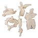 3B Scientific A75/1 5 Vertebrae - 3B Smart Anatomy