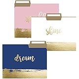 Brushstrokes File Folder Set