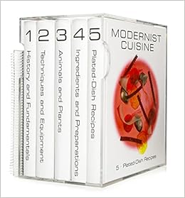 modernist look amazon