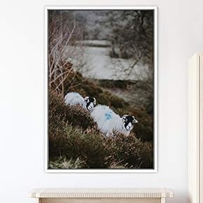 signwin Framed Canvas Wall Art Sheep Animals Expressive...