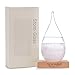 Weather Predicting Storm Glass Set-Elegant Weather Tear Drop Shaped Storm Glass Bottle with Wooden Base - Perfect Home and Office Decoration - Unique Idea & Conversation Starter