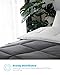 Equinox International, Two Way Plush Microfiber Fill All-Season Charcoal Gray/White Quilted Comforter, Goose Down Alternative - Reversible Duvet Insert Set - (350 GSM) (Queen 88 x 88 Inches)