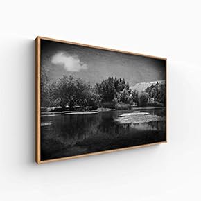 Canvas Wall Art for Living Room, Bedroom Monochrome Landscape Framed Canvas Prints for Home Decoration Ready to Hang - 16x24 inches