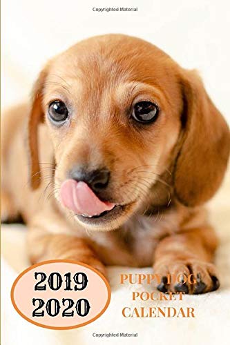 2019 2020 Puppy Dog Pocket Calendar: Small Mini Monthly Journal With Address Book & Notes Section; Two Years Planner; Purse Notebook With Inspirational Quotes; Little Diary To Write Daily Goals by ZenWerkz