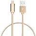 LAX iPhone Charger Lightning Cable - MFi Certified Durable Braided Apple Lightning USB Cord for iPhone 11/11 Pro Max/XS Max/X/iPad, iPod & More