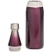 Aladdin Fresco Twst Vac Btl, Amethyst SS Stainless Steel Cafe to Go Bottle | 20oz, 20 oz