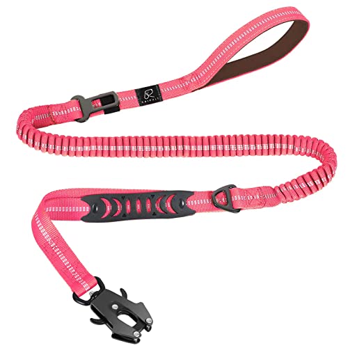 raipult Shock Absorbing Bungee Dog Leash