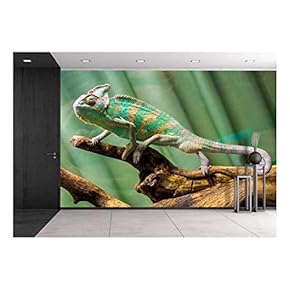 Chameleon - Removable Wall Mural | Self-Adhesive Large Wallpaper - 66x96 inches