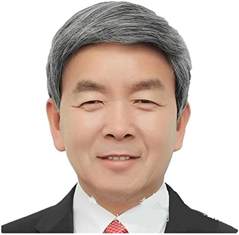 Ole Age Men's Synthetic Hair Wig Silver White Black Mixed Mature Wigs For Father