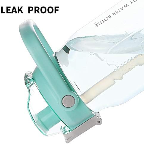 Blue Cille water bottle with doors design, BPA-free, held in hand, priced at $19.99.