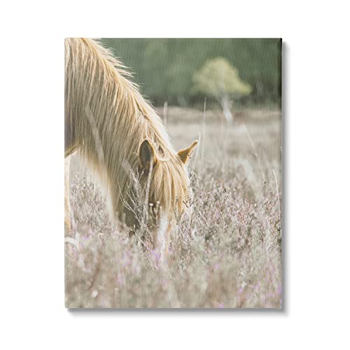 Stupell Industries Peaceful Palomino Horse Grazing Countryside Meadow, Design b…
