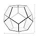Mindful Design Glass Terrarium - Geometric Dodecahedron Desktop Garden Planter (Black)
