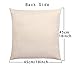 LuckyCow Throw Pillow Covers 18x18 Inch - Cotton Linen Blue Theme Ocean Starfish Wood Grain Beach Game Pillow Covers, Decorative Pillowcase for Home Sofa Bedding Couch Outdoor Cushion Covers.
