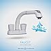 CLEANFLO 481, Pull Out Laundry Faucet, 3 Hole Installation, High 8 INCH-Arc Spout, 2 Handles, 2 Spray Settings, Advanced High-Quality Polymer Materials, Lead-Free, Non Corrosive, White Finish