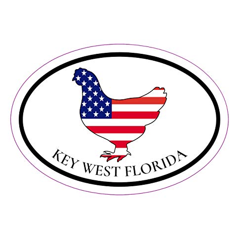 Perfect Patriotic Key West Gift Florida Keys Bumper Sticker WickedGoodz