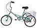 Slsy Adult Folding Tricycles, 7 Speed Folding Adult Trikes, 20 Inch 3 Wheel Bikes with Low Step-Through, Foldable Tricycle with Basket for Adults, Women, Men, Seniors.thumb 2