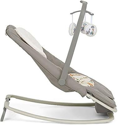 joie dreamer in the rain