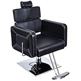 BarberPub Classic Hydraulic Barber Chair Salon Styling Beauty Spa Chair 2065 (Black)