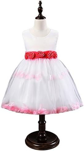 Janeyer® Toddler 3D Rose Flower Butterfly Knot Empire Mesh Girls Colors Dress