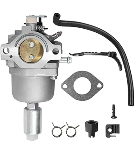 Carburetor 492256 Replacement For HP Engine Murray