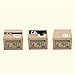 LEMONBEST Cute Itazura Stealing Coin Bank Cents Penny Buck Saving Money Box Pot Case Piggy Bank Panda