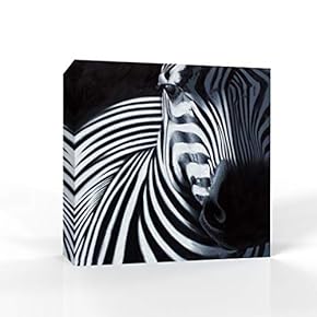 Black and White Zebra Pictures Home Wall for...